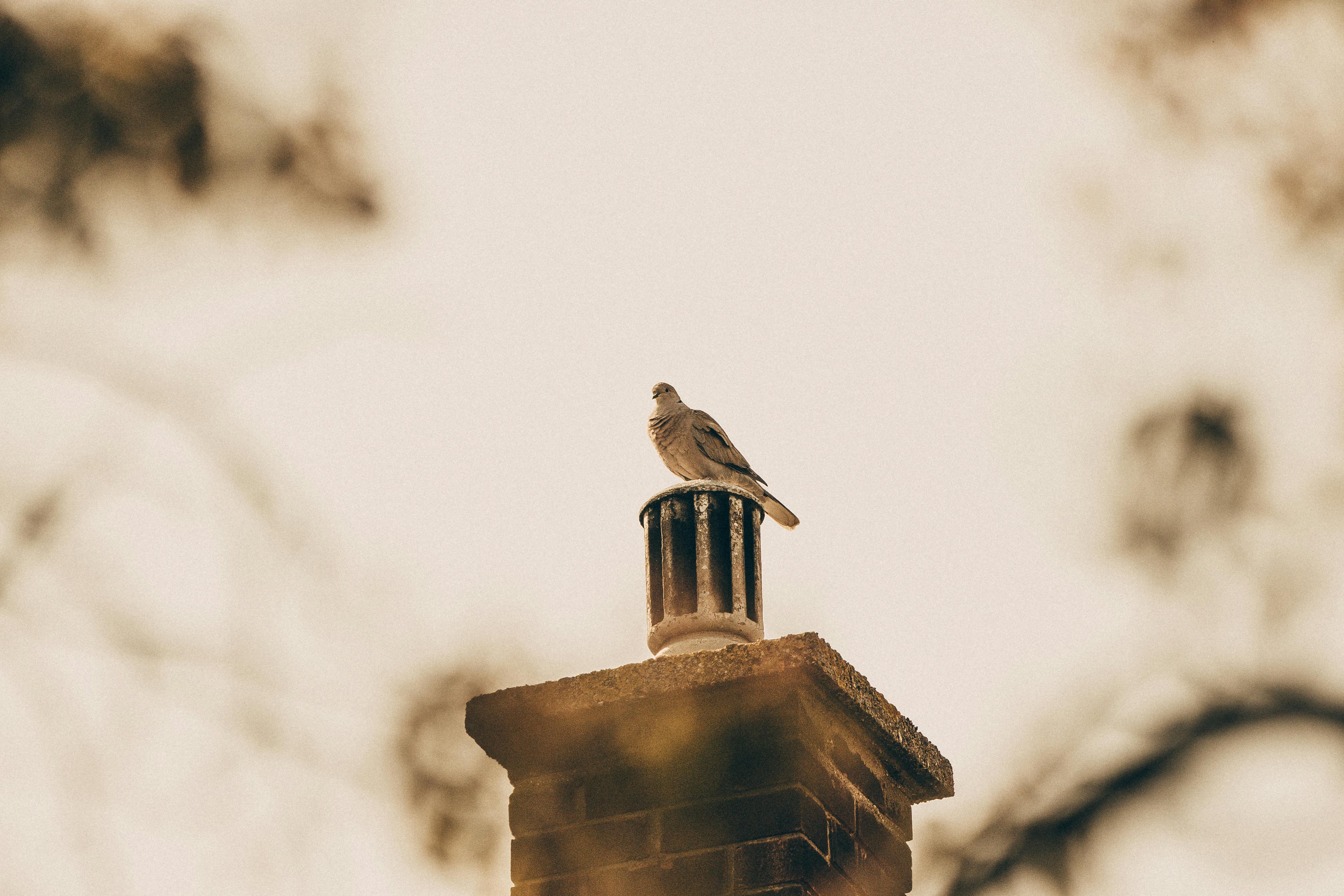 Professional Chimney Cap Installation Services in Marblehead, MA Expert Chimney Cap Installation in Marblehead, Massachusetts